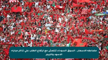 مضاعفة الأسعار.. السوق السوداء تنتعش مع ارتفاع الطلب على تذاكر مباراة الأسود والنيجر